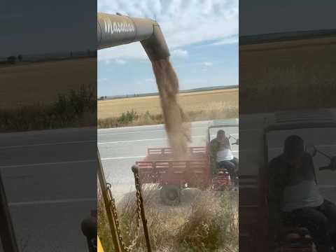 Більшого прицепа не знайшлося?😂 #агротехнологии #трактор #farming #агро #tractor #farm #viral