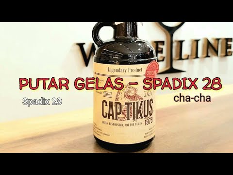 PUTAR GELAS (CAP TIKUS LEBEH KARAS) - SPADIX 28 CHA-CHA DISCO TANAH