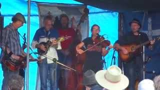 Gleny Rae Virus & Her Playboys @ National Folk Festival, 2015.Sorry For Saying Fuck.