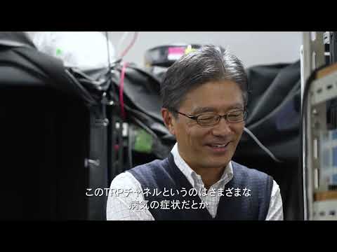 【2分程度で研究室紹介！】細胞はどうやって力や温度を感じるのか？