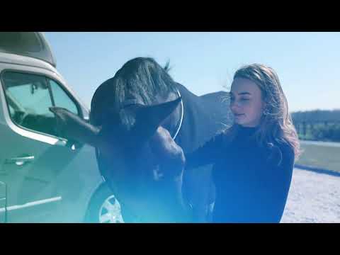 Sodiak Horsetrucks 2020