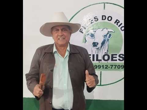 PIRES DO RIO LEILÕES - PIRES DO RIO - GO - 02/03/2026