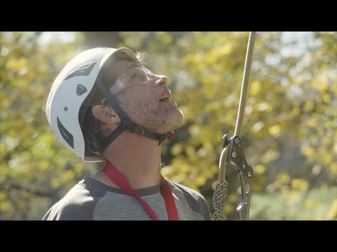 YouTube Thumbnail s5wfSs6NtG8