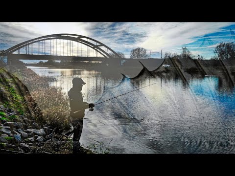 Canal fishing for zander. Tips & tricks for winter - [Zander fishing on the canal]