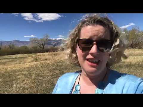 Pastor Anna Musings   April 1, 2020