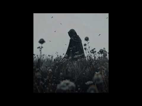 𝐒𝐊𝐎𝐑𝐏 - 𝐊𝐟𝐞𝐧 𝐊𝟕𝐞𝐥 [𝐒𝐥𝐨𝐰𝐞𝐝 & 𝐑𝐞𝐯𝐞𝐫𝐛]