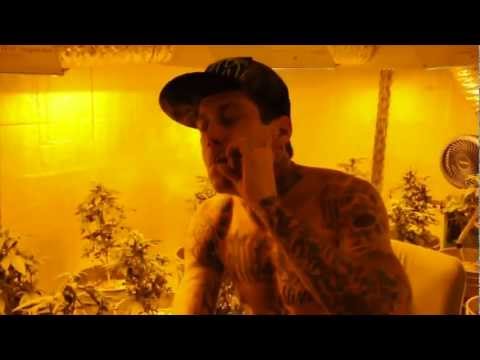 D-Loc (Kottonmouth Kings) - Kush (Remix) *OFFICIAL VIDEO*