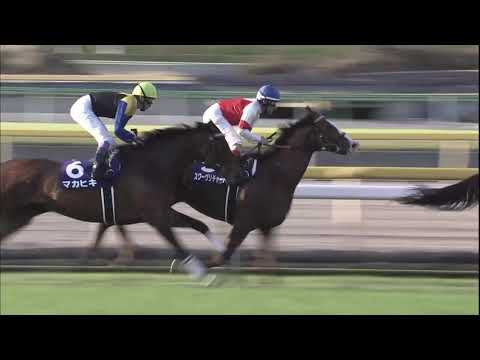 2018 Tenno Sho-Autumn (G1)