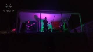 Señor Mapache - Live [TemasFest 11vo Aniversario]