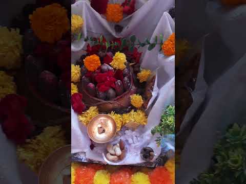 parthiv shivling Darshan Today🙏har har mahadev🙏