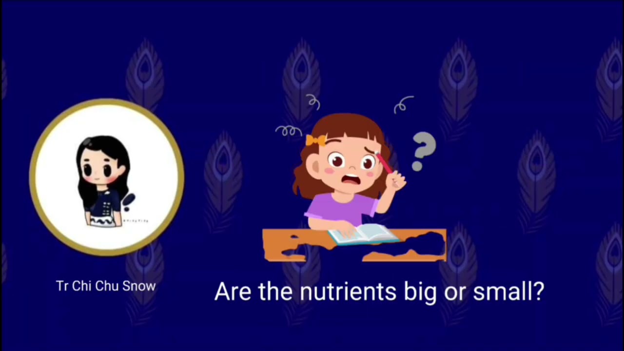 Lesson 4  The Nutrient Cycle