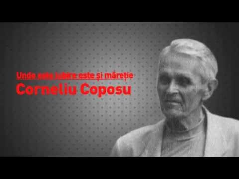 Memorialul durerii - Corneliu Coposu