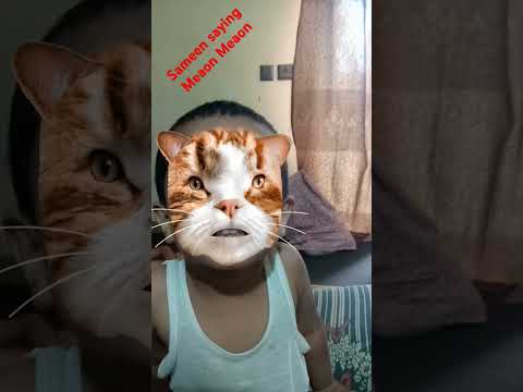 Sameen Saying Meaon Meaon ,, #cat #youtube