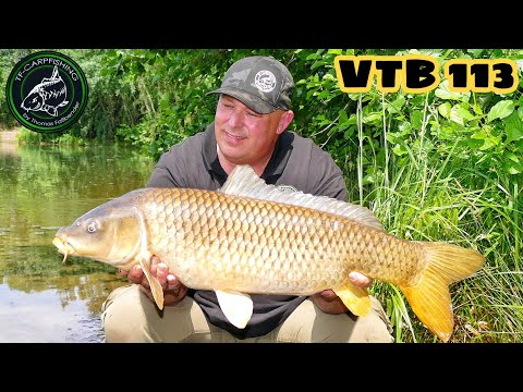 Karpfenangeln VTB 113 - Nach der Laichzeit am Parksee