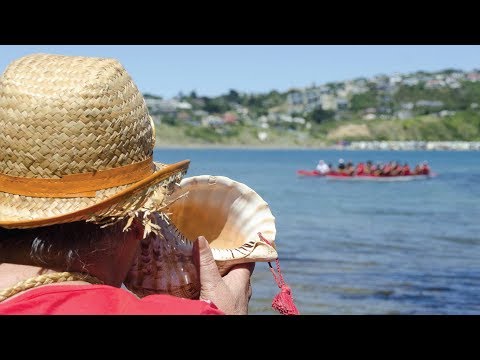 Celebrate volunteers! Nominations now open for the 2018 Wellington Airport Regional Community Awards