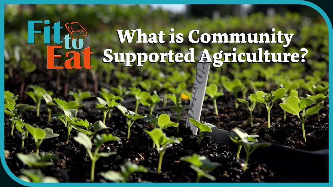 What is Community Supported Agriculture (CSA)? – Fit to Eat
