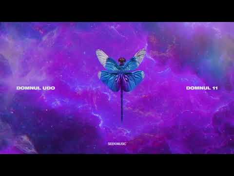 Domnul Udo - Amortizor (Audio)