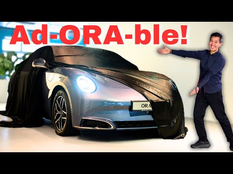 GWM Ora 07 walkthrough review in Singapore | MrChia SG