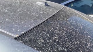 Allergy sufferers prepare for second wave of pollen in Texas