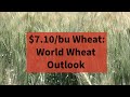 $7.10/bu Wheat: World Wheat Outlook