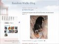 How to follow a blog How to follow a blog
