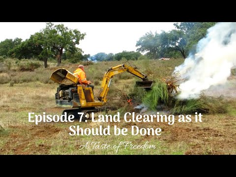 Episode 7: Land clearing as it should be done