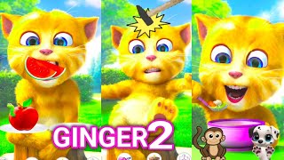 New Game: Talking Ginger FUNNIEST Moments Ever 🤣 | talking ginger 2 eat with me | talking tom |