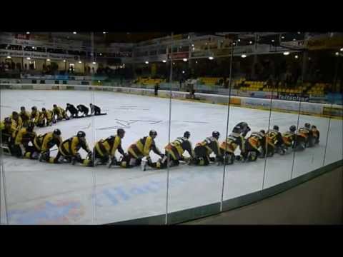 Tölzer Löwen gegen Freiburg Playoff 2013 - nach dem 7. Spiel