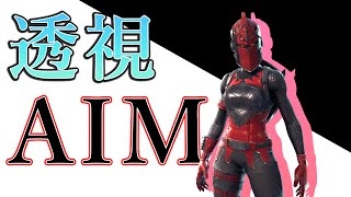 【フォートナイト】新技！？透視AIMだ！引退から数ヶ月、突如帰ってきた男with NA