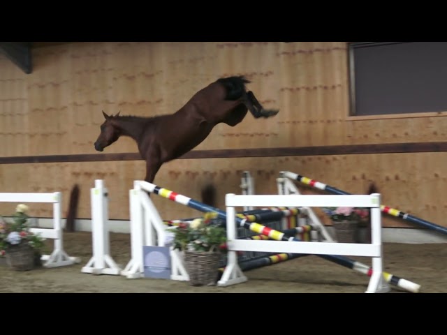 jumping