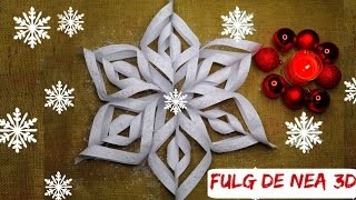 3D Paper Snowflake / Fulg de nea 3D / Fulg de nea din hartie  / Decoratiuni pentru Craciun