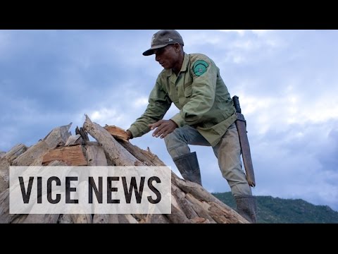 The Lake That Burned Down A Forest