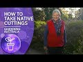 How to take native cuttings