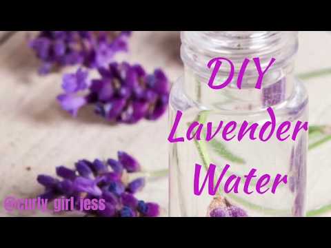 download lagu mp3 mp4 Lavender Water, download lagu Lavender Water gratis, unduh video klip Lavender Water