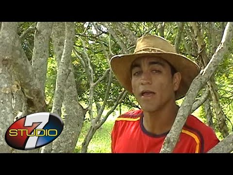 Weslley e Ygor NOITE DE NATAL