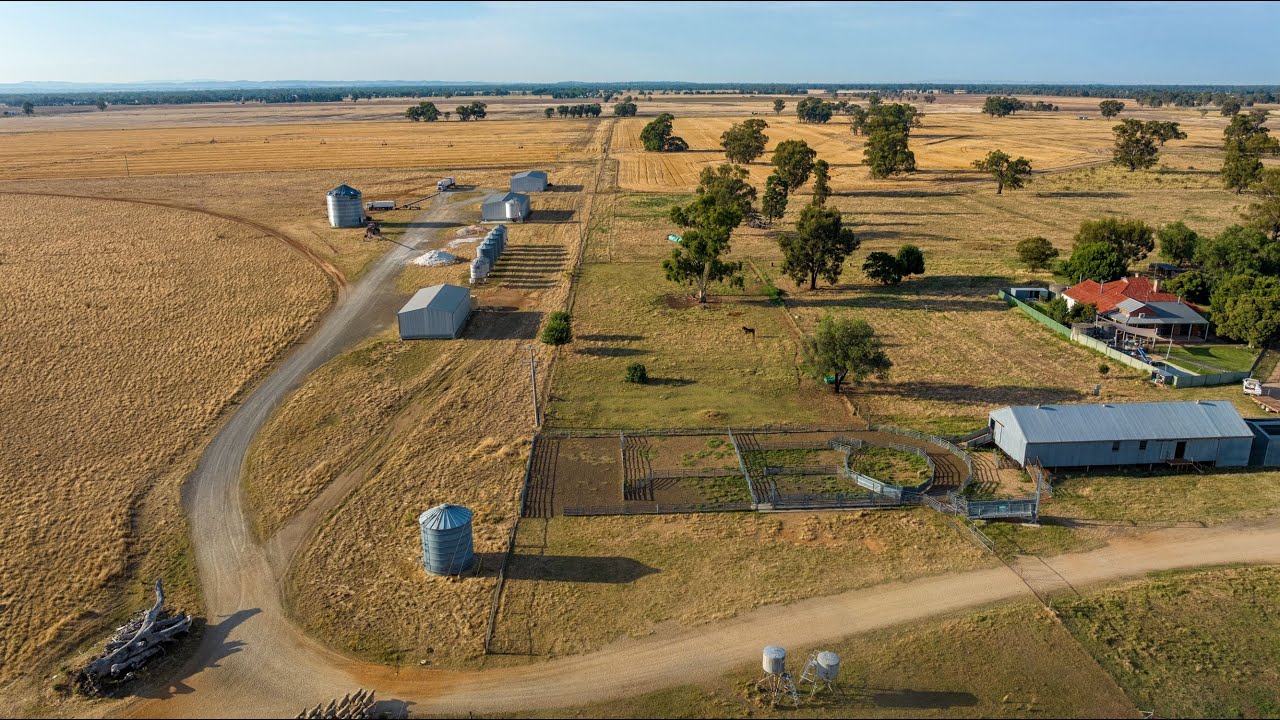 322 Balldale Road, Hopefield, NSW, 2646 Sold Elders Real Estate