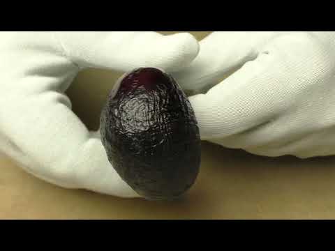 Dunhill Shell Briar 4113 - pipe F219