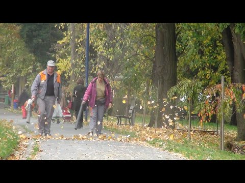 U prvom planu - Danica u akciji, 2.11.2020.  video