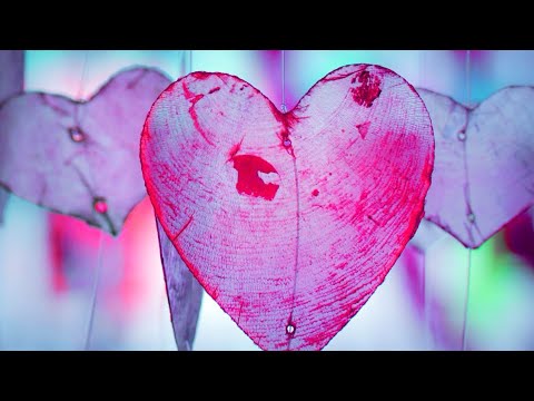 Ich habe versprochen... - YONDA