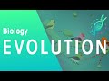 Evolution by Natural Selection - Darwin's Finches | Evolution | Biology | FuseSchool