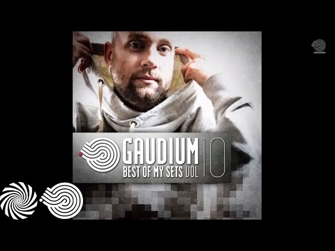 Gaudium - Anyone out There
