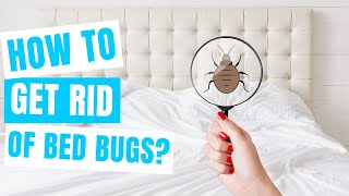 How to GET RID OF BED BUGS | At home FAST