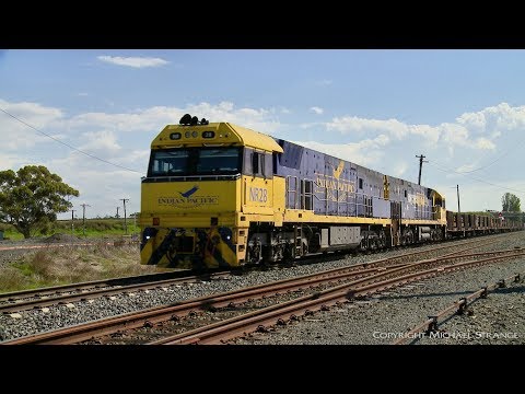 Pacific National 3XM4 Steel Train With  NR28 (Indian Pacific) - PoathTV Australian Railways