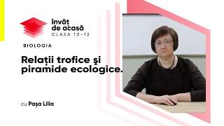  "Relaţii trofice şi piramide ecologice"