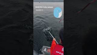 この日1匹めのコホサーモン #fishing #釣り #salmonfishing #釣り #シアトル
