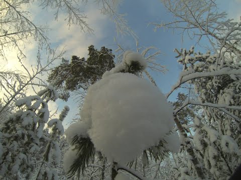 Morjestavaan lähin lenkille