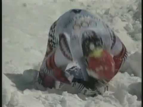 Nagano 1998 - Der Sturz von Hermann Maier