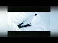 Diary Of Dreams - Ex-Ile sub español & lyrics