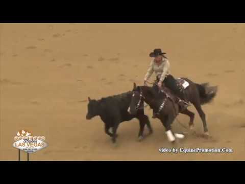 Ima OneTime Wonder 2017 NRCHA Stakes Derby Highlights