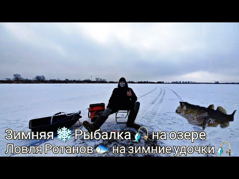 Зимняя ❄️ Рыбалка 🎣 на озере Караульном , на Ротана 🐟 , на зимние удочки 🎣. Открытие зимнего сезона.